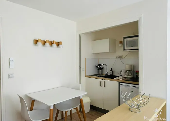 Appartement Balcony De Loire *